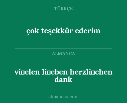 vi̇elen li̇eben herzli̇chen dank - çok teşekkür ederim