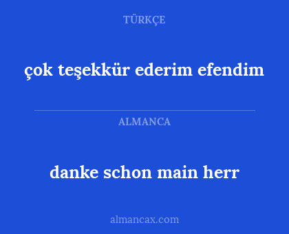 danke schon main herr - çok teşekkür ederim efendim