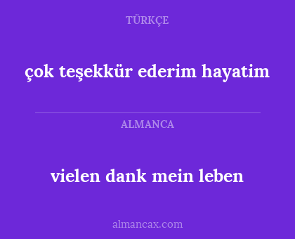 vielen dank mein leben - çok teşekkür ederim hayatim