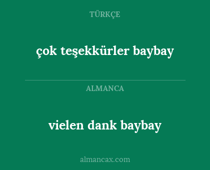 vielen dank baybay - çok teşekkürler baybay