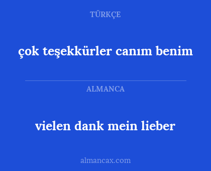 vielen dank mein lieber - çok teşekkürler canım benim