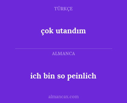 ich bin so peinlich - çok utandım