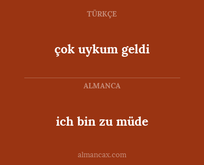 çok uykum geldi - ich bin zu müde