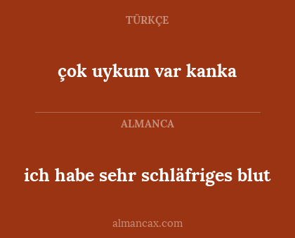 çok uykum var kanka - ich habe sehr schläfriges blut