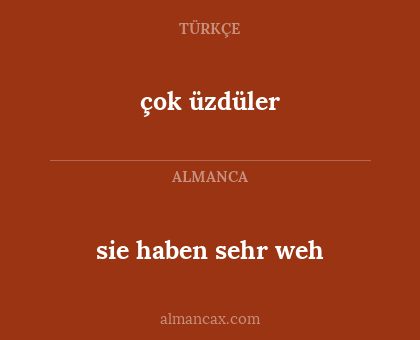 çok üzdüler - sie haben sehr weh
