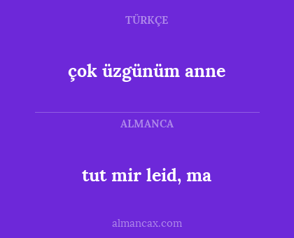 tut mir leid, ma - çok üzgünüm anne