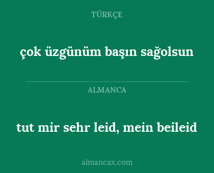 tut mir sehr leid, mein beileid - çok üzgünüm başın sağolsun