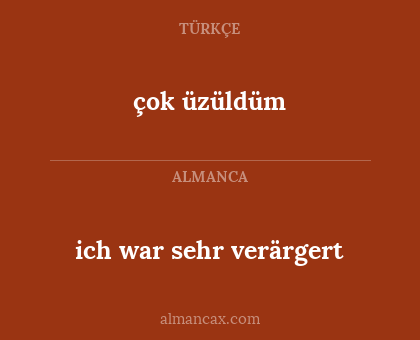ich war sehr verärgert - çok üzüldüm