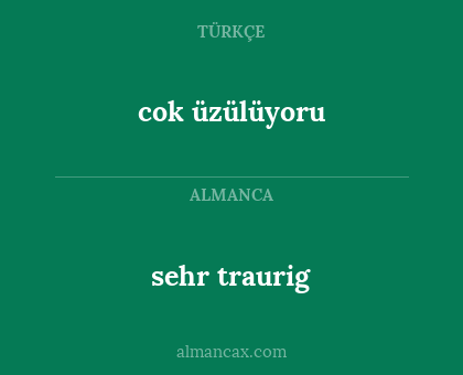 sehr traurig - cok üzülüyoru