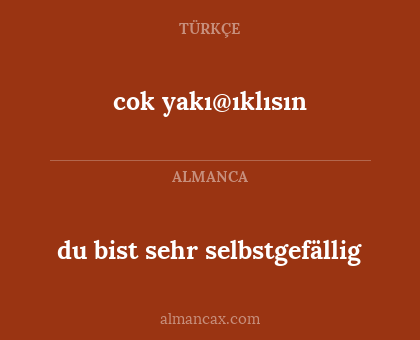 du bist sehr selbstgefällig - cok yakı@ıklısın