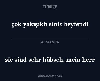sie sind sehr hübsch, mein herr - çok yakışıklı siniz beyfendi