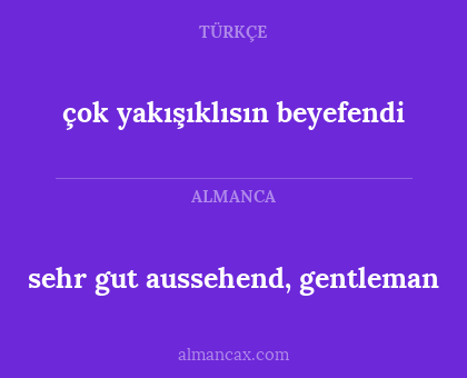 çok yakışıklısın beyefendi - sehr gut aussehend, gentleman