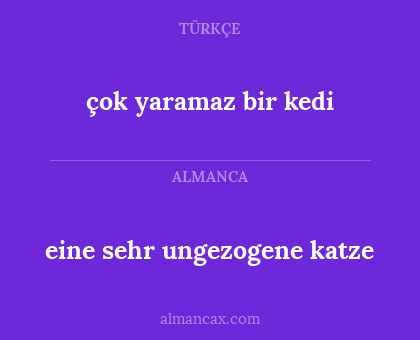 çok yaramaz bir kedi - eine sehr ungezogene katze