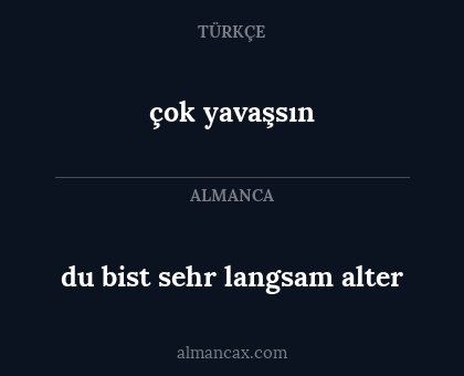 du bist sehr langsam alter - çok yavaşsın