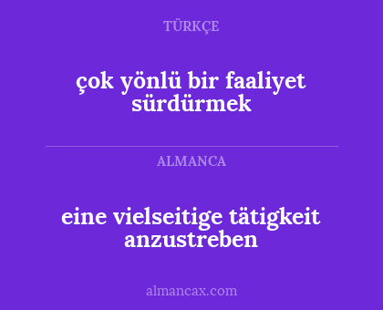 eine vielseitige tätigkeit anzustreben - çok yönlü bir faaliyet sürdürmek
