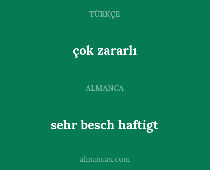 sehr besch haftigt - çok zararlı