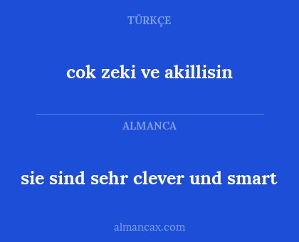 sie sind sehr clever und smart - cok zeki ve akillisin