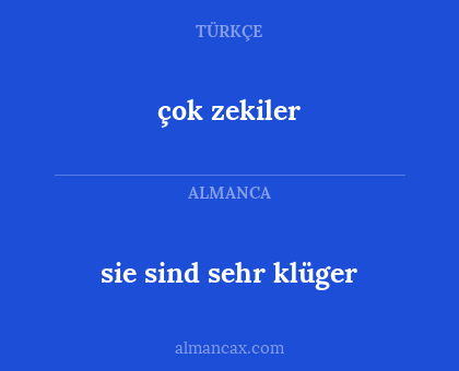 sie sind sehr klüger - çok zekiler