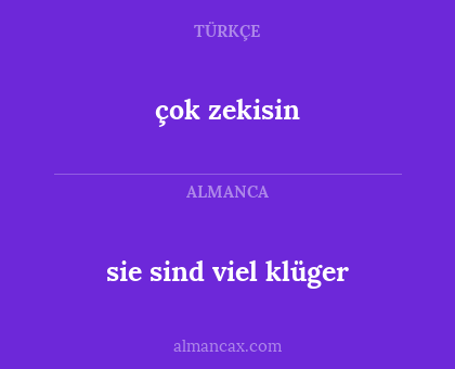 çok zekisin - sie sind viel klüger