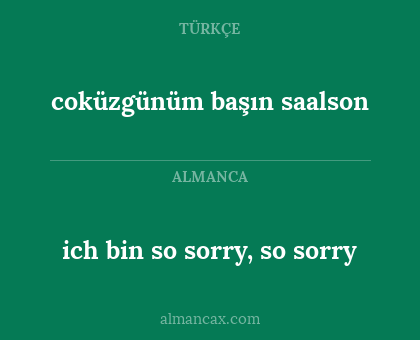ich bin so sorry, so sorry - coküzgünüm başın saalson