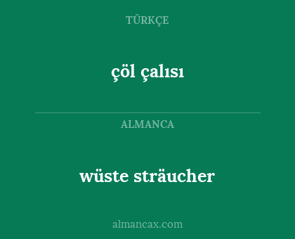 çöl çalısı - wüste sträucher