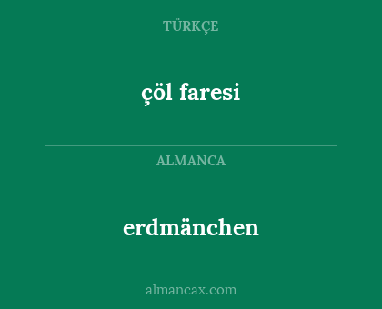 çöl faresi - erdmänchen