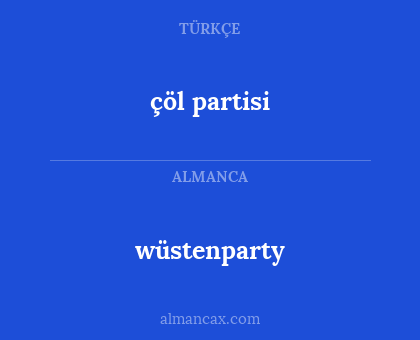 çöl partisi - wüstenparty