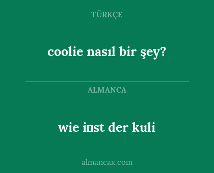 coolie nasıl bir şey? - wie i̇st der kuli