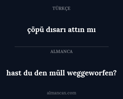 hast du den müll weggeworfen? - çöpü dısarı attın mı