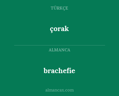 brachefie - çorak