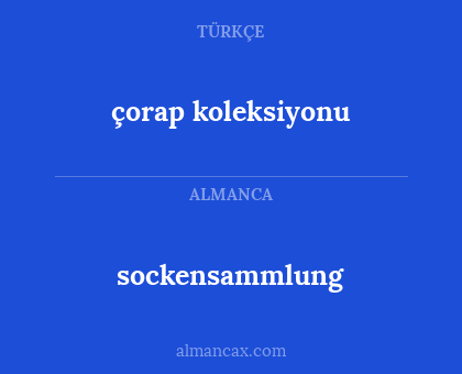 çorap koleksiyonu - sockensammlung