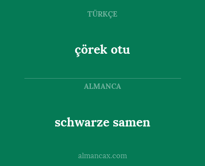 çörek otu - schwarze samen