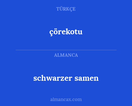 schwarzer samen - çörekotu