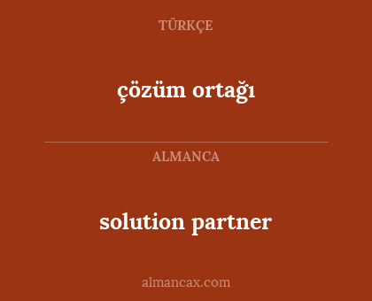 çözüm ortağı - solution partner