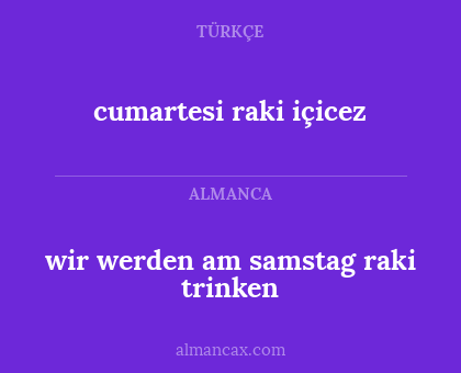 cumartesi raki içicez - wir werden am samstag raki trinken