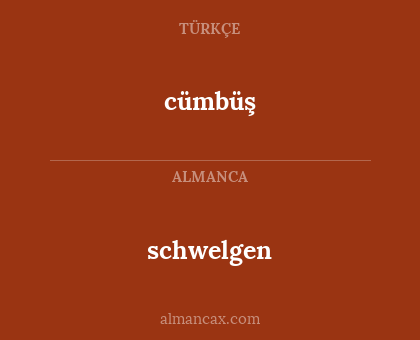 cümbüş - schwelgen