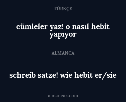 cümleler yaz! o nasıl hebit yapıyor - schreib satze! wie hebit er/sie
