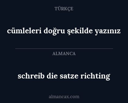 schreib die satze richting - cümleleri doğru şekilde yazınız