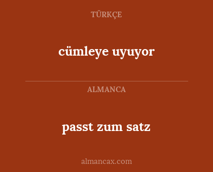 passt zum satz - cümleye uyuyor