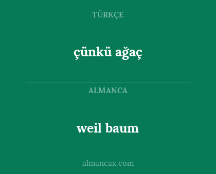 weil baum - çünkü ağaç