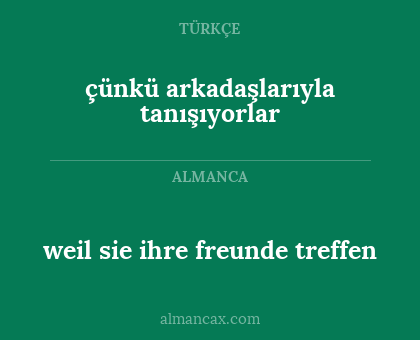 weil sie ihre freunde treffen - çünkü arkadaşlarıyla tanışıyorlar
