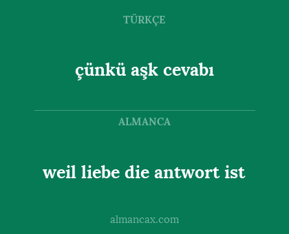 çünkü aşk cevabı - weil liebe die antwort ist