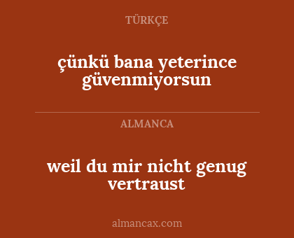 weil du mir nicht genug vertraust - çünkü bana yeterince güvenmiyorsun