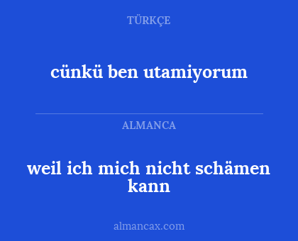 weil ich mich nicht schämen kann - cünkü ben utamiyorum