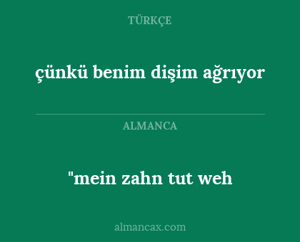 "mein zahn tut weh - çünkü benim dişim ağrıyor