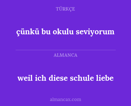 weil ich diese schule liebe - çünkü bu okulu seviyorum