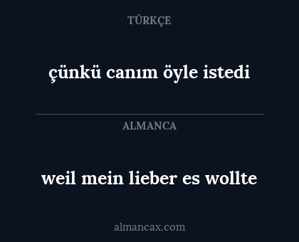 çünkü canım öyle istedi - weil mein lieber es wollte