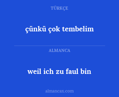 çünkü çok tembelim - weil ich zu faul bin