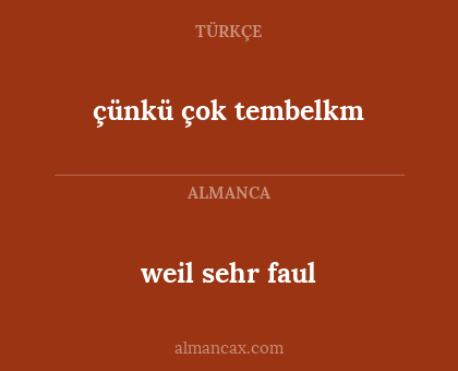 weil sehr faul - çünkü çok tembelkm