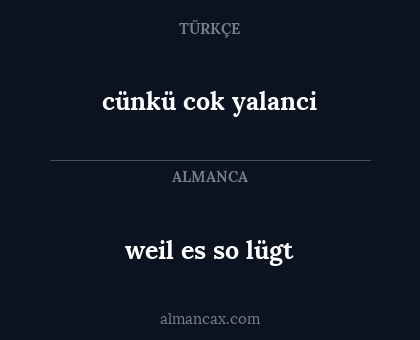 weil es so lügt - cünkü cok  yalanci